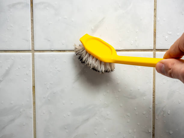 Best Toxic Mold Removal  in Creve Coeur, MO