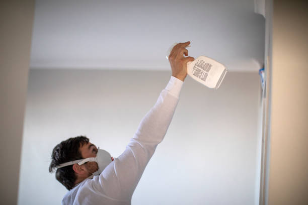 Mold Removal and Inspection in Creve Coeur, MO