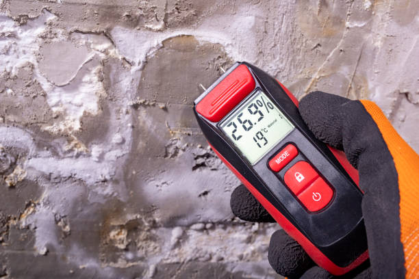 Best Water Damage Restoration  in Creve Coeur, MO
