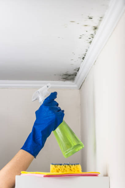 Best Mold Testing  in Creve Coeur, MO